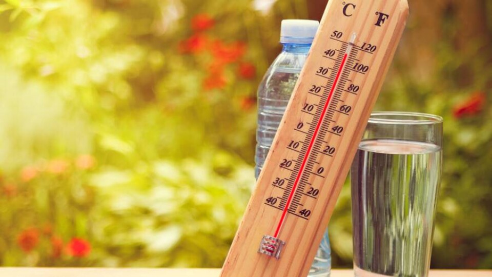 Жару до 46 градусов прогнозируют в выходные на юге Казахстана