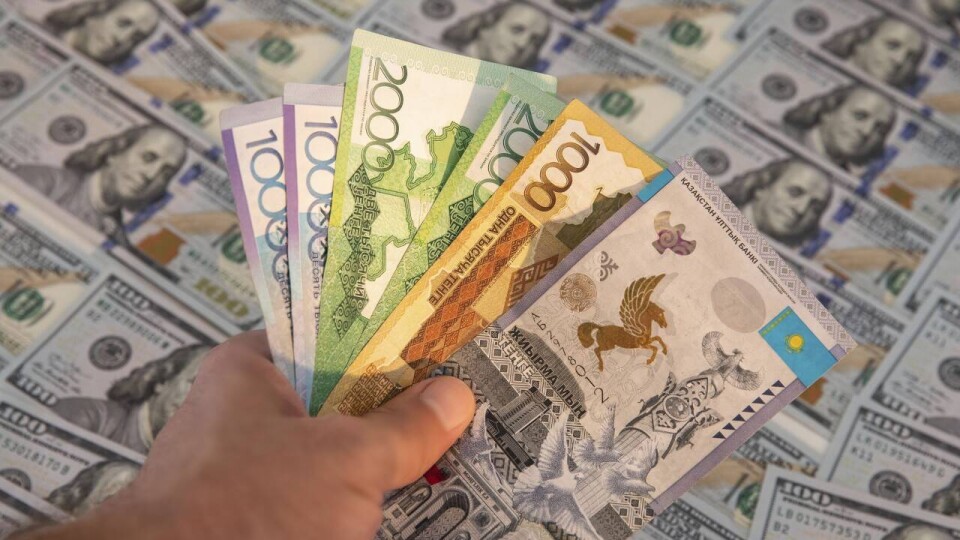871 вкладчик финансовой пирамиды B2B Jewelry вернул свои деньги