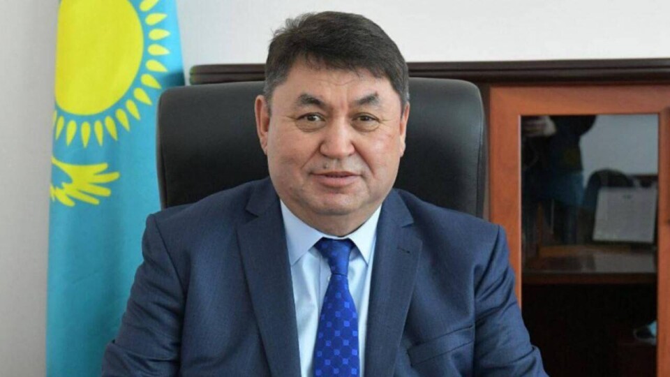 pavon.kz