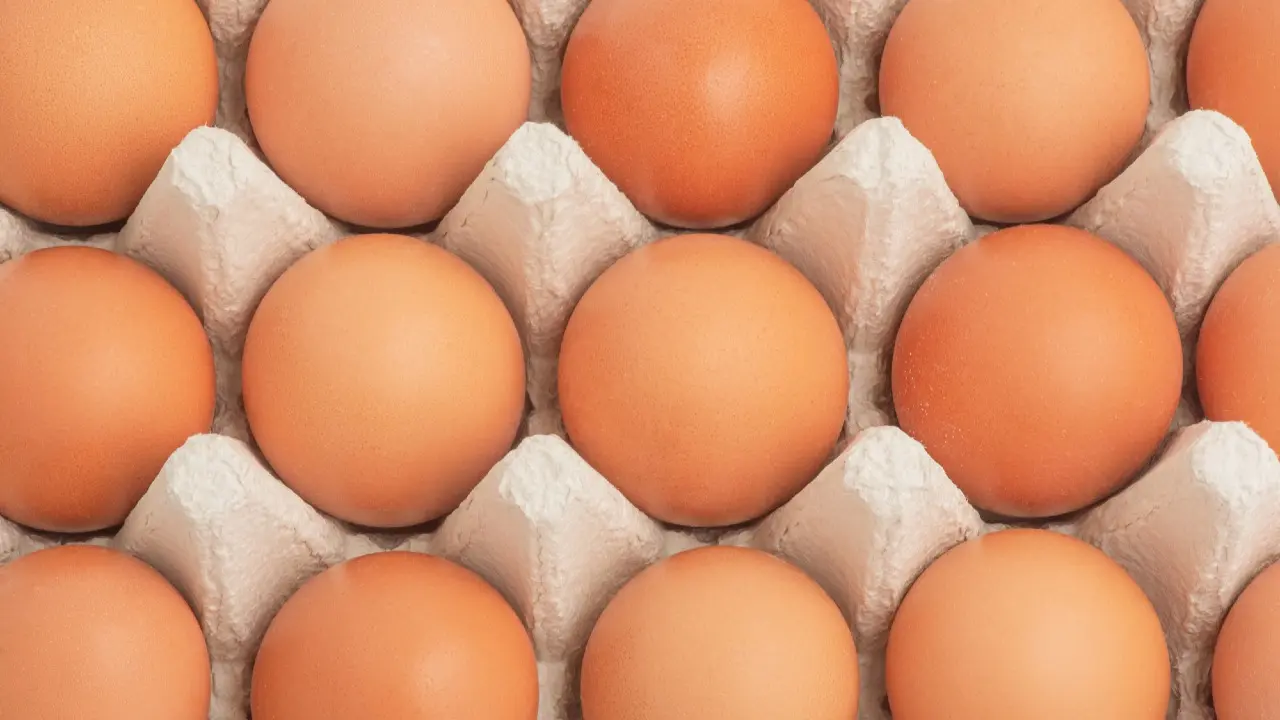 Фото Depositphotos.com