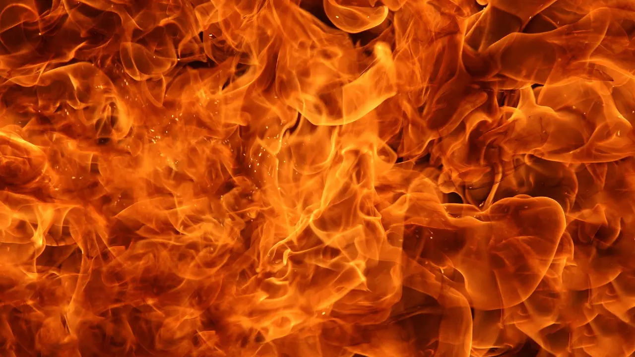 Фото Depositphotos.com