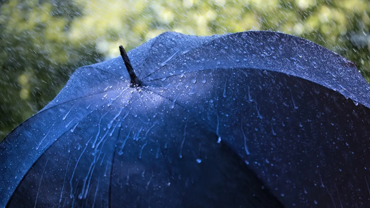 Фото Depositphotos.com