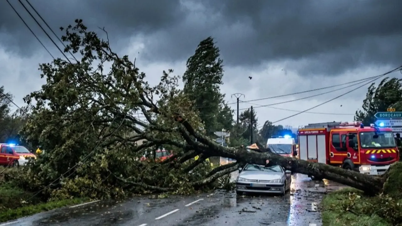 Фото сгенерировано при помощи ИИ