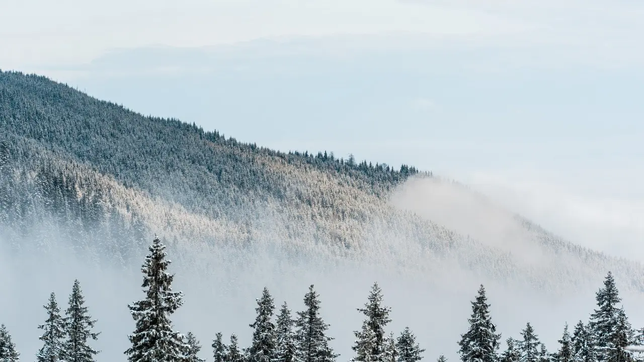 Фото Depositphotos.com