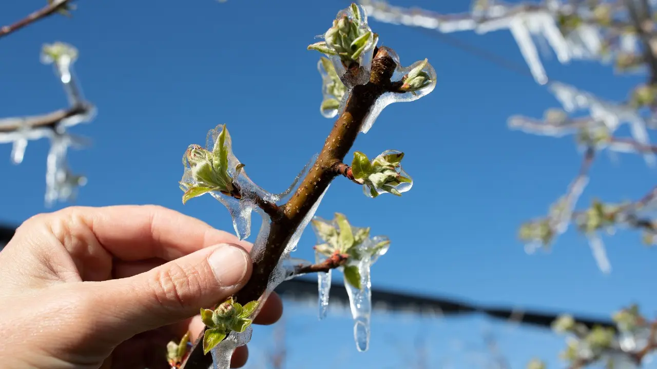 Фото Depositphotos.com