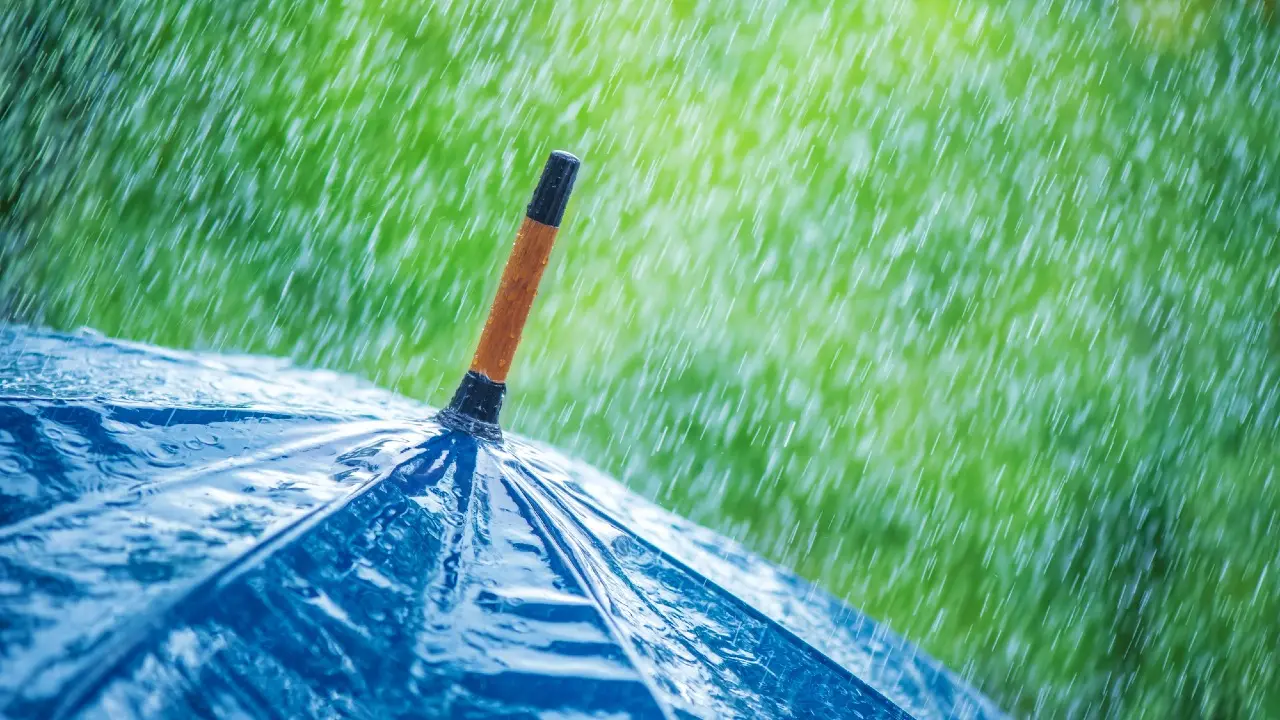 Фото Depositphotos.com