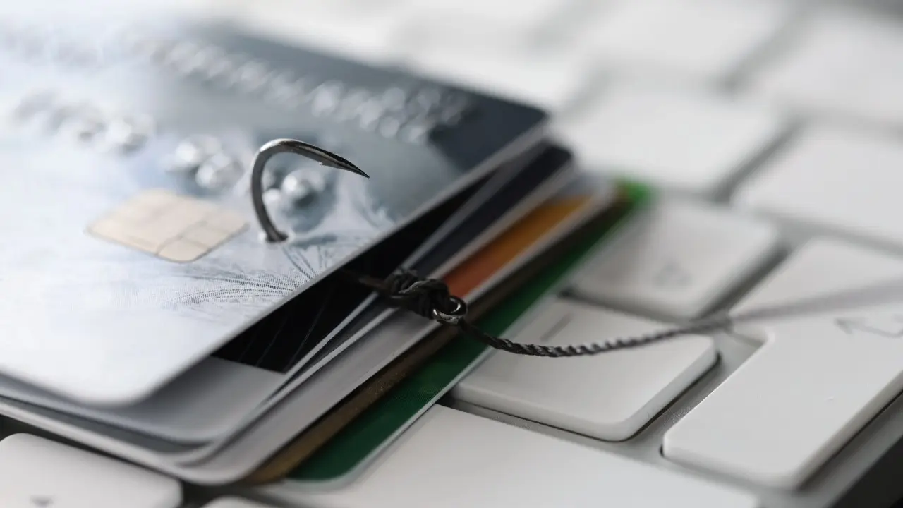 Мошенников и дропперов будут наказывать розгами в Сингапуре