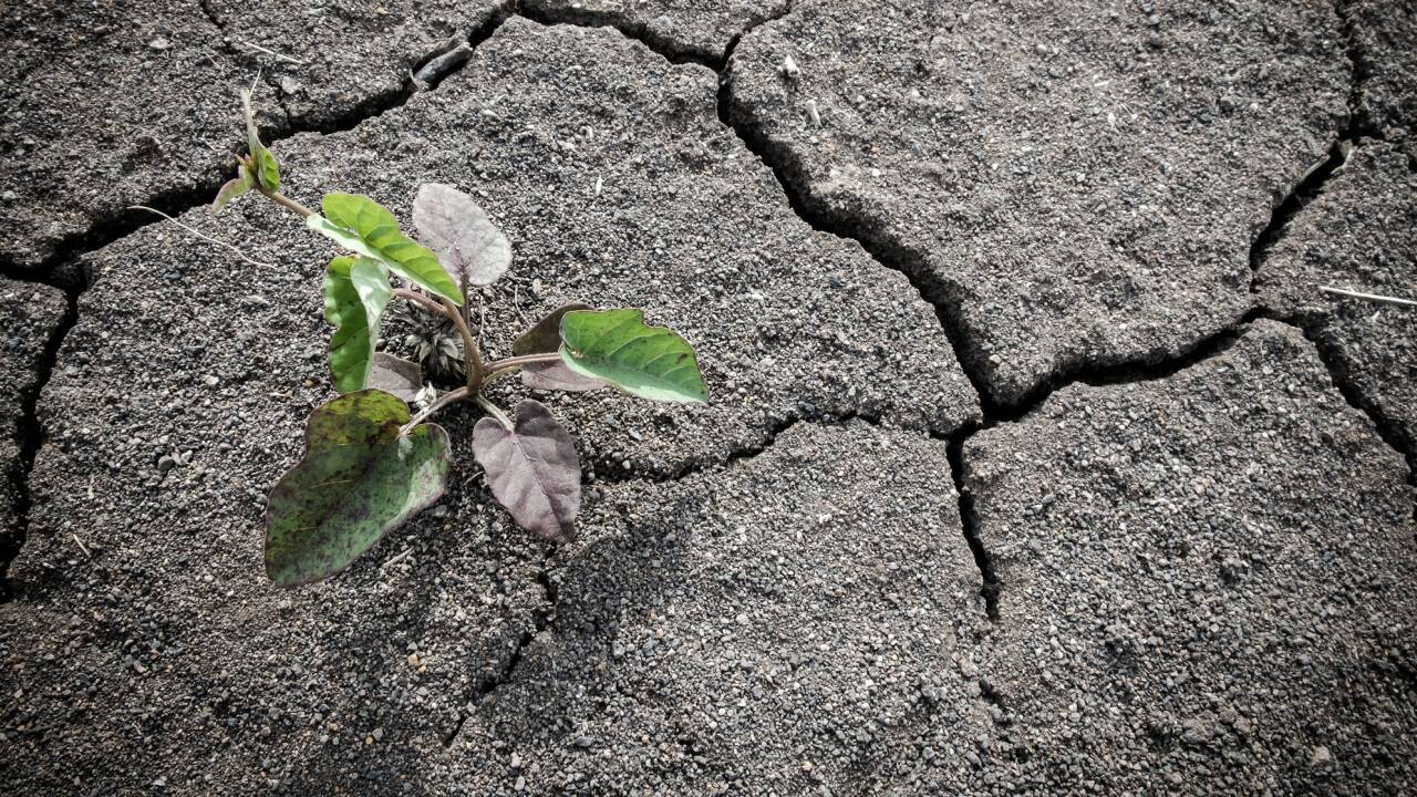 На саммите COP27 договорились о создании фонда помощи бедным странам, пострадавшим от катаклизмов