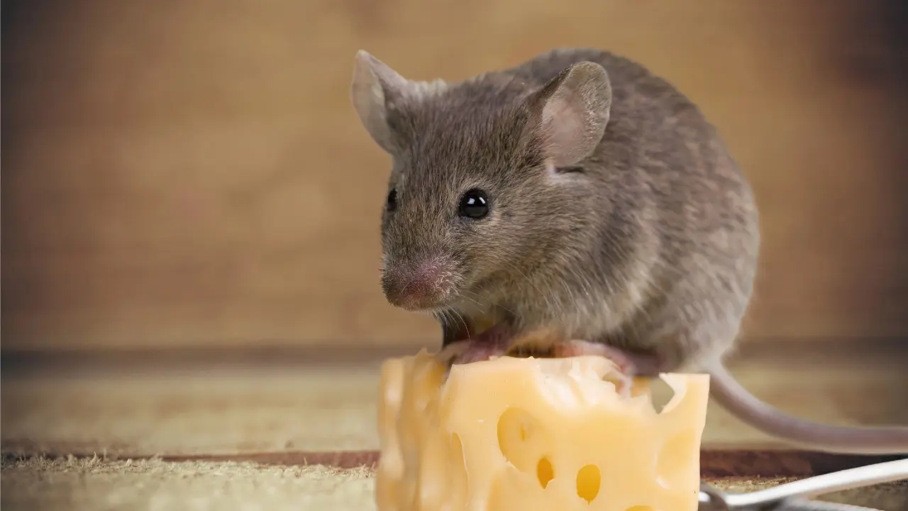 Фото Depositphotos.com