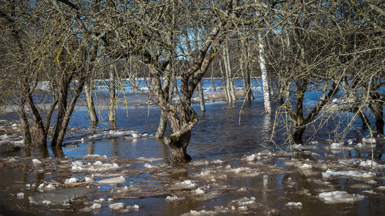 Фото Depositphotos.com