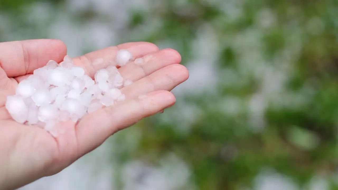 Фото Depositphotos.com