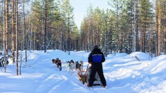 Не мог получить землю: инвестору помогли начать работу прокуроры Акмолинской области