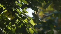 До +22°C: какая погода ждёт казахстанцев в ближайшие дни