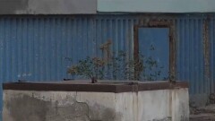 Жители микрорайона в Атырау уже 30 лет задыхаются от запаха канализации