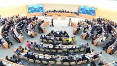 Единогласная поддержка: ООН приняла резолюцию Казахстана по правам ребёнка в образовании