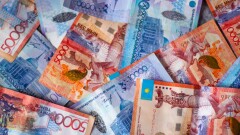 Более 93 млн тенге за погибший при паводках скот выплатят жителям Кульсары