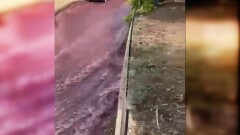 Винный потоп произошёл в португальском городе Анадия