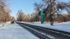 Невозможно дышать: жители Жамбылской области жалуются на маслозавод
