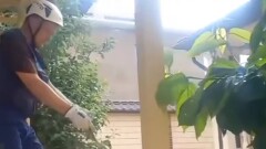 Из-за аномальной жары: змеи заползают в дома жителей Шымкента