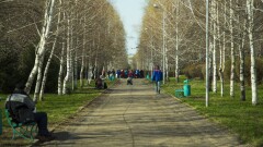 Парк "Южный" в Алматы вернули государству: бывшему собственнику выплатили 2,3 млрд тенге