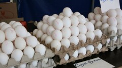 В Казахстане продолжают расти цены на яйца, а сахар немного подешевел