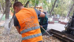 Карагандинца отправили подметать улицы из-за поддельного больничного листа