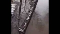 Центральный парк Караганды затопило из-за крупной аварии на водопроводе