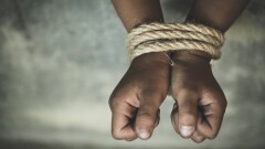 Детское рабство в Улытауской области: в Минпросвете объяснили, почему школа не реагировала на прогулы