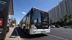Водитель автобуса проехал на красный свет и сбил женщину в Астане