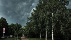 Дожди и грозы: какой будет погода в Казахстане в ближайшие дни