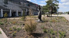В акимате Караганды рассказали о судьбе погибших клумб и засохших газонов