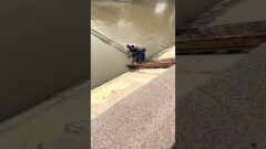Мужчину, спасшего тонущего ребёнка в Алматы, могут наградить