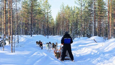 Не мог получить землю: инвестору помогли начать работу прокуроры Акмолинской области