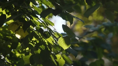 До +22°C: какая погода ждёт казахстанцев в ближайшие дни