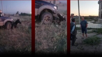 Дом мужчины, намеренно сбившего лошадь в Алматинской области, чуть не взяли штурмом