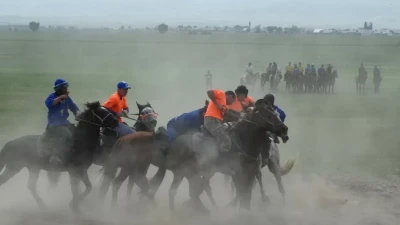 Кокпар устроили на дороге в Алматинской области: организаторов наказали арестом