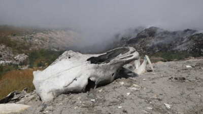 "Дышим зловонием": жители Алматинской области требуют закрыть мусорный полигон возле их домов