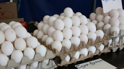 Яйца по 510 и сахар по 459 тенге: продукты по сниженным ценам будут продавать в Уральске