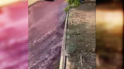 Винный потоп произошёл в португальском городе Анадия