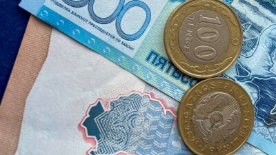 223 млн тенге задолжали по зарплате ветеринарам в Алматинской области