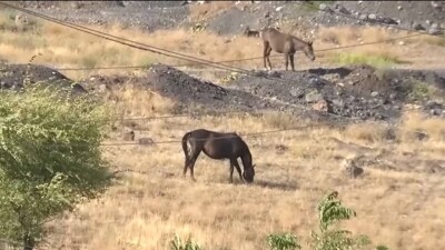 Жители Туркестанской области требуют признать 900 га земли зоной ЧС из-за угрозы обвала грунта