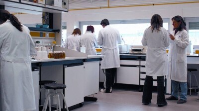 Программу по привлечению талантливых учёных поручили разработать в Казахстане
