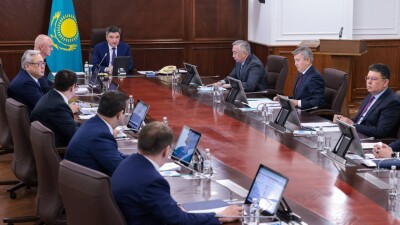 Бектенов: Сельхозсубсидии не должны становиться доходом крупных игроков отрасли