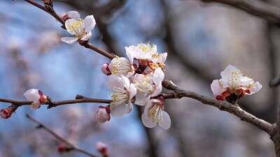 Синоптики прогнозируют повышение температуры воздуха и прекращение осадков в Казахстане