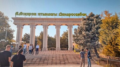 Около 2500 деревьев, посаженных в дендропарке Шымкента, полностью засохли