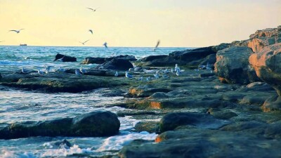 Каспий окрасился в чёрный цвет. Экологи не выявили никаких нарушений