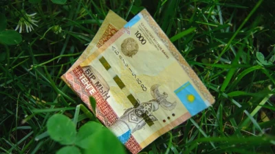 В Костанайской области выявили хищение сельхозсубсидий на 96 млн тенге