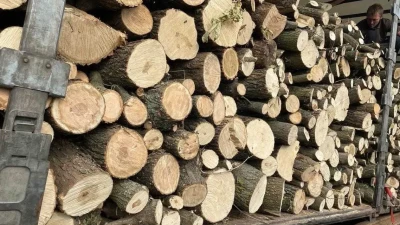 Зима близко: в какую сумму казахстанцам обойдётся заготовка дров?