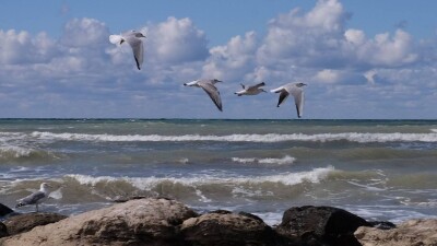 Уровень Каспийского моря поднялся на 119 сантиметров