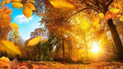 Прогноз погоды на 17-19 сентября: ожидается постепенное потепление